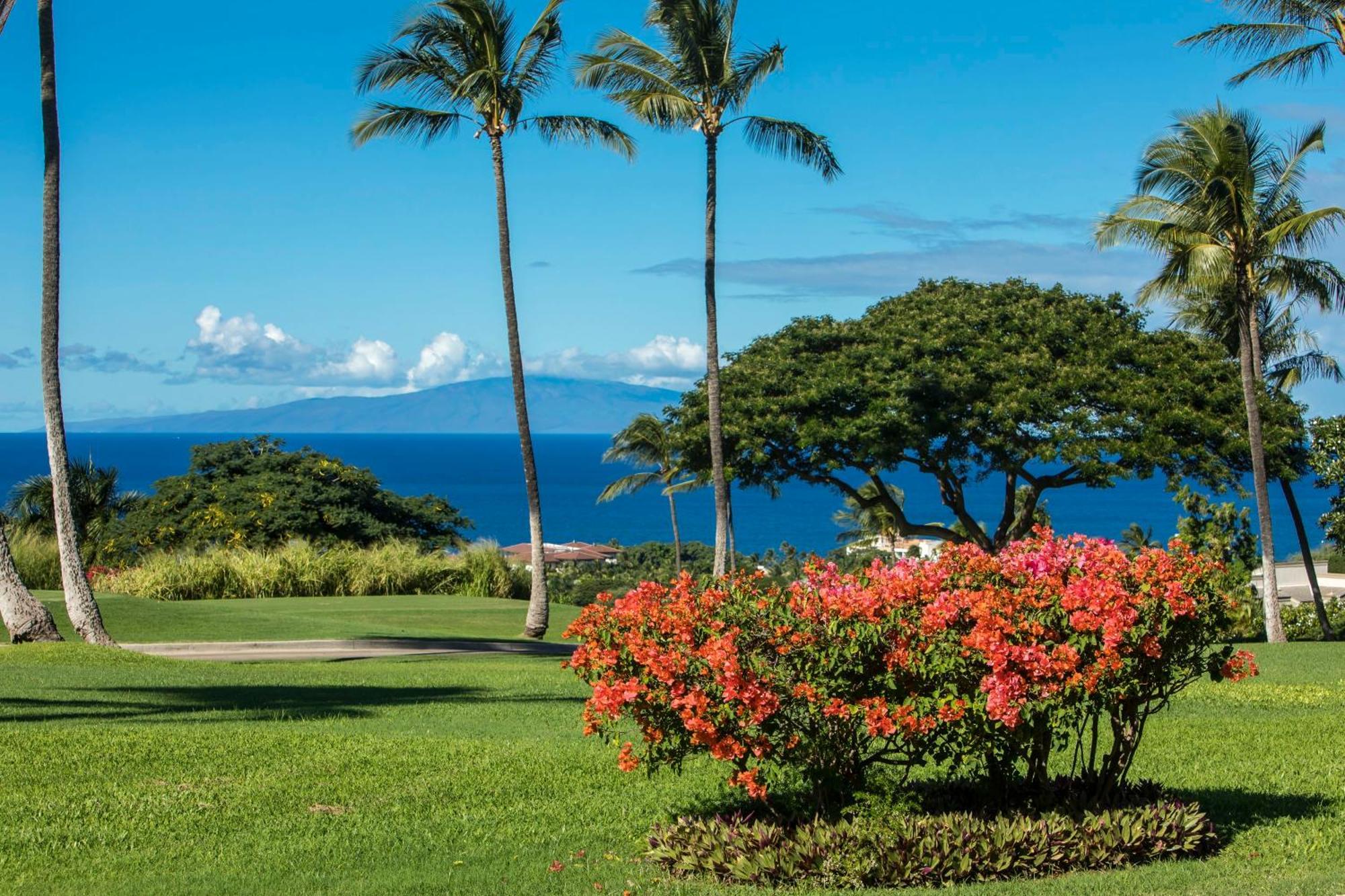 הוילה ויילי Stunning Ocean View! 2-2 In The Heart Of Wailea מראה חיצוני תמונה