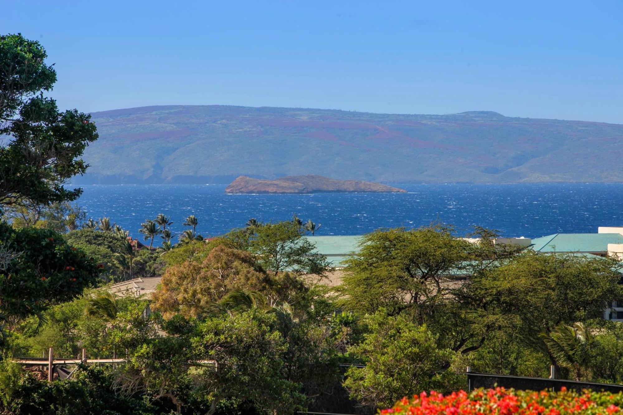 הוילה ויילי Stunning Ocean View! 2-2 In The Heart Of Wailea מראה חיצוני תמונה