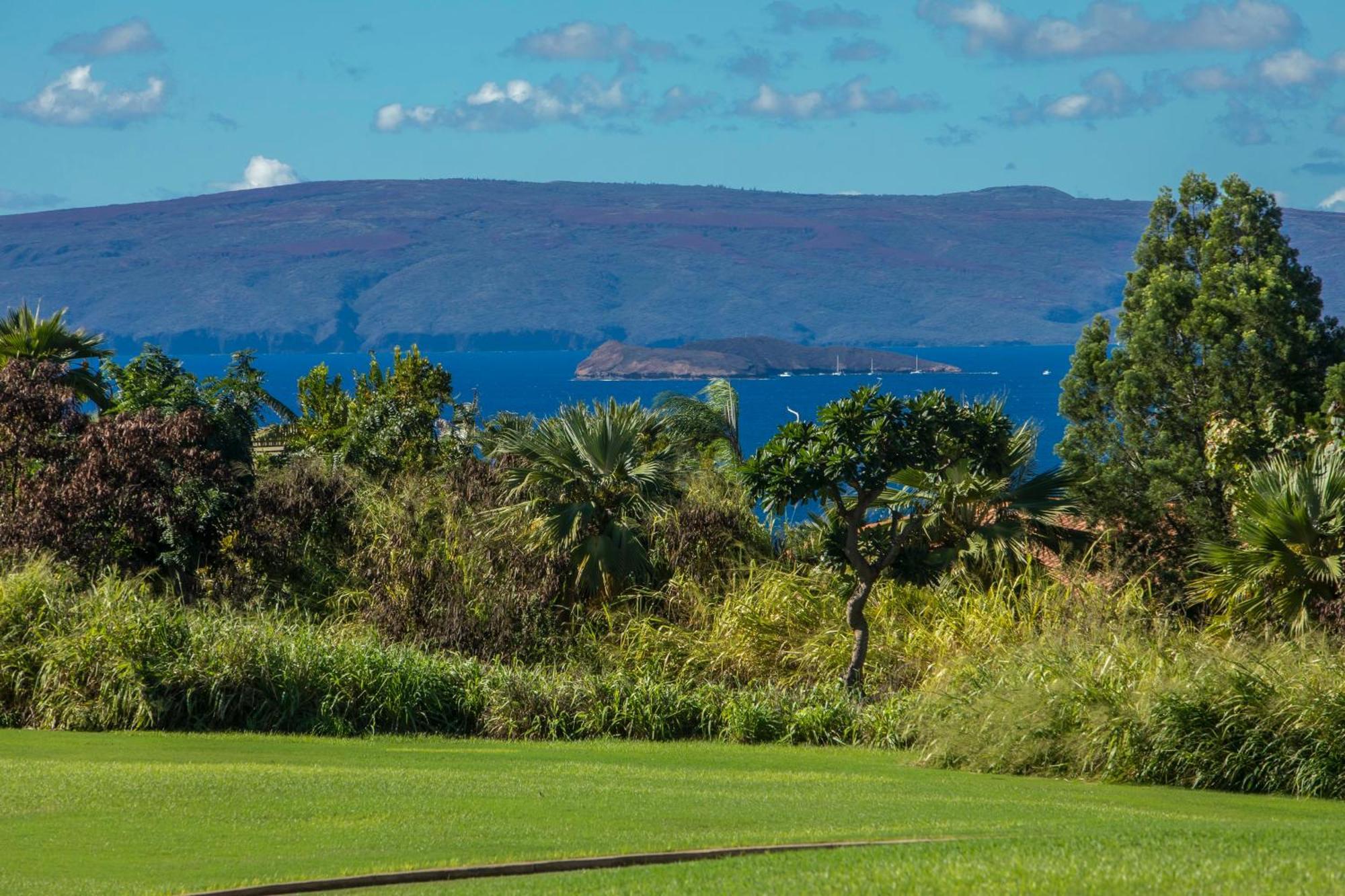 הוילה ויילי Stunning Ocean View! 2-2 In The Heart Of Wailea מראה חיצוני תמונה