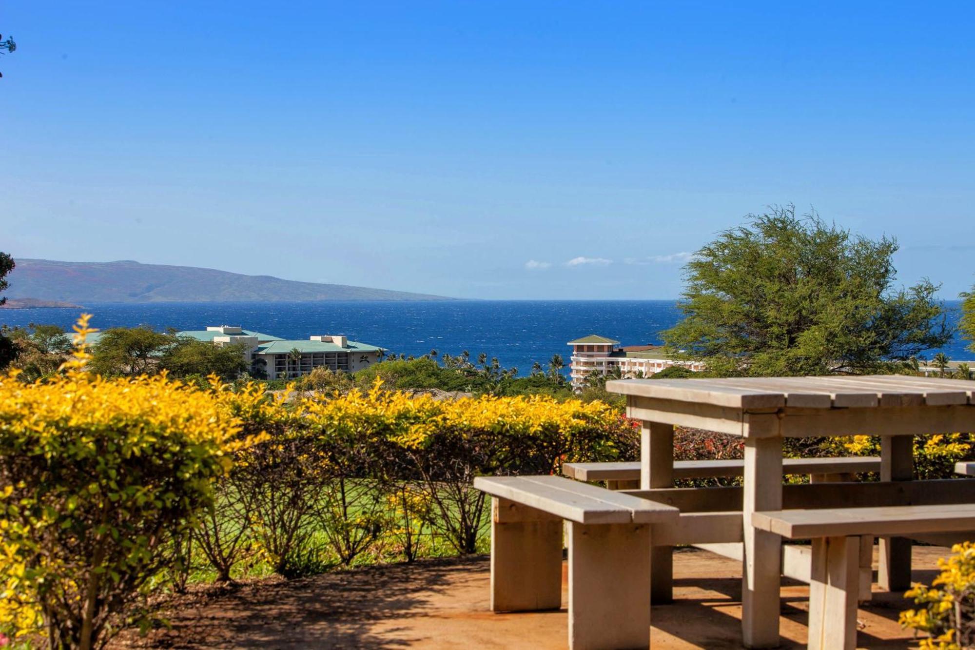 הוילה ויילי Stunning Ocean View! 2-2 In The Heart Of Wailea מראה חיצוני תמונה
